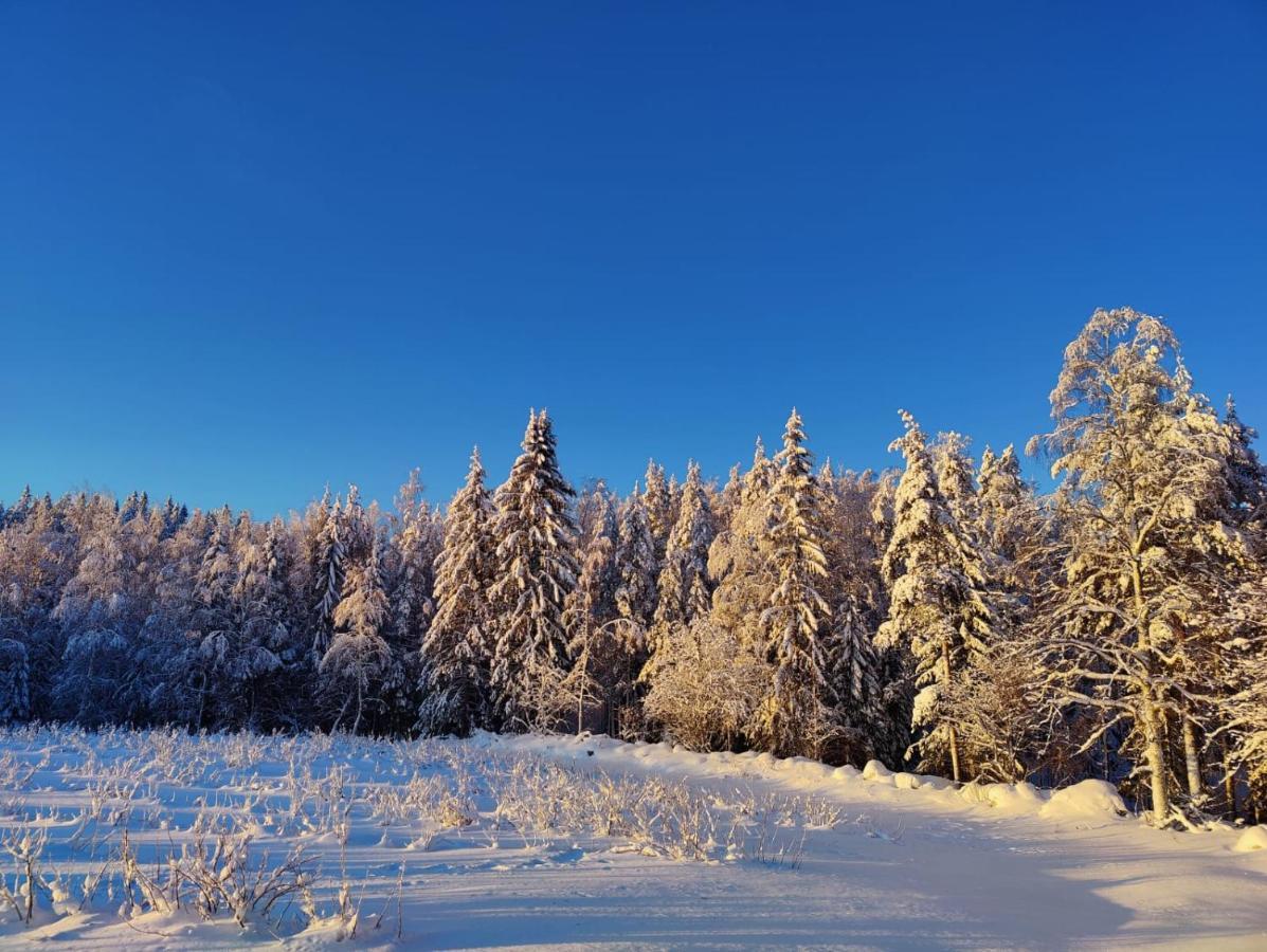 Maatilamatkailu Janisvaara Kolinkylä Exterior foto