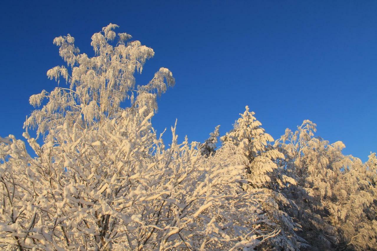 Maatilamatkailu Janisvaara Kolinkylä Exterior foto